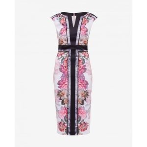 Ted Baker Painted Posie Sheath Dress